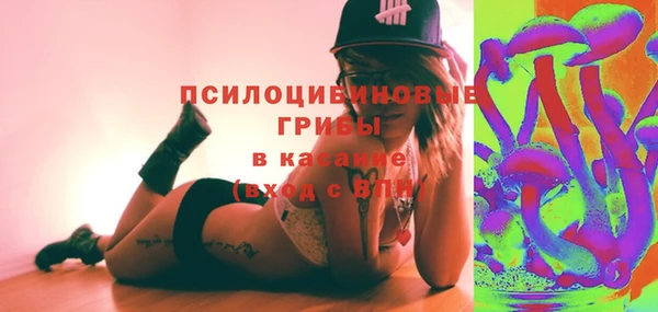 эйфоретик Баксан
