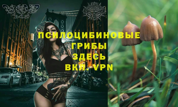 стафф Балахна