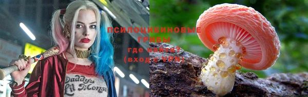 гидропоника Балабаново