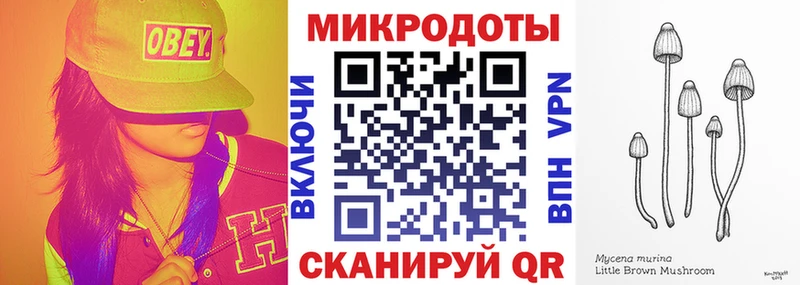 Псилоцибиновые грибы Cubensis Козьмодемьянск